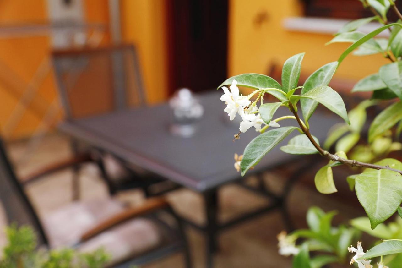 Apartmani Strpic Biograd Na Moru Buitenkant foto