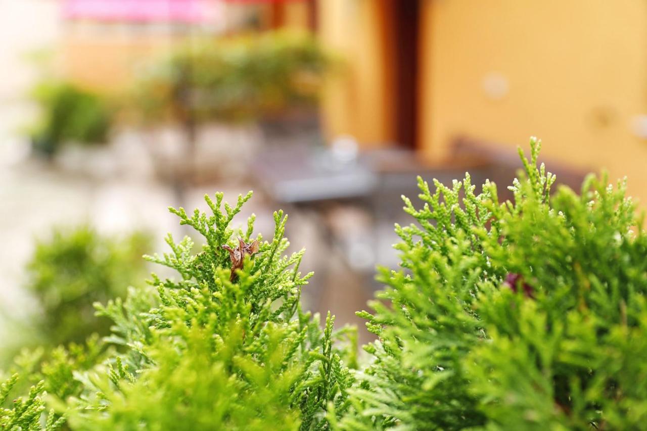 Apartmani Strpic Biograd Na Moru Buitenkant foto