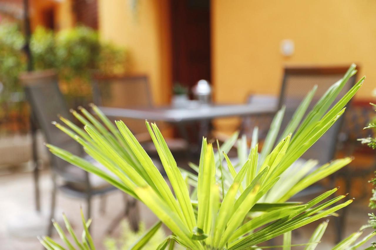 Apartmani Strpic Biograd Na Moru Buitenkant foto